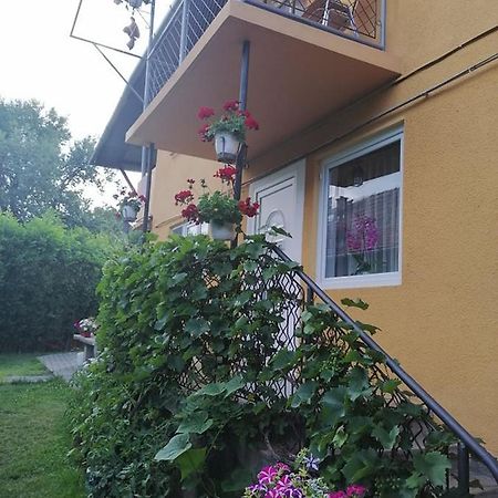 Casa De Oaspeti Orso Sovata Exterior photo